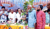 মান্দায় প্রাকৃতিক শীতলতা ফিরিয়ে আনতে বিএনপির কেন্দ্রীয় নেতার গাছের চারা বিতরণ